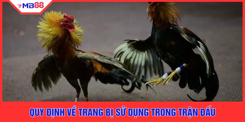 Quy định về trang bị sử dụng trong trận đấu